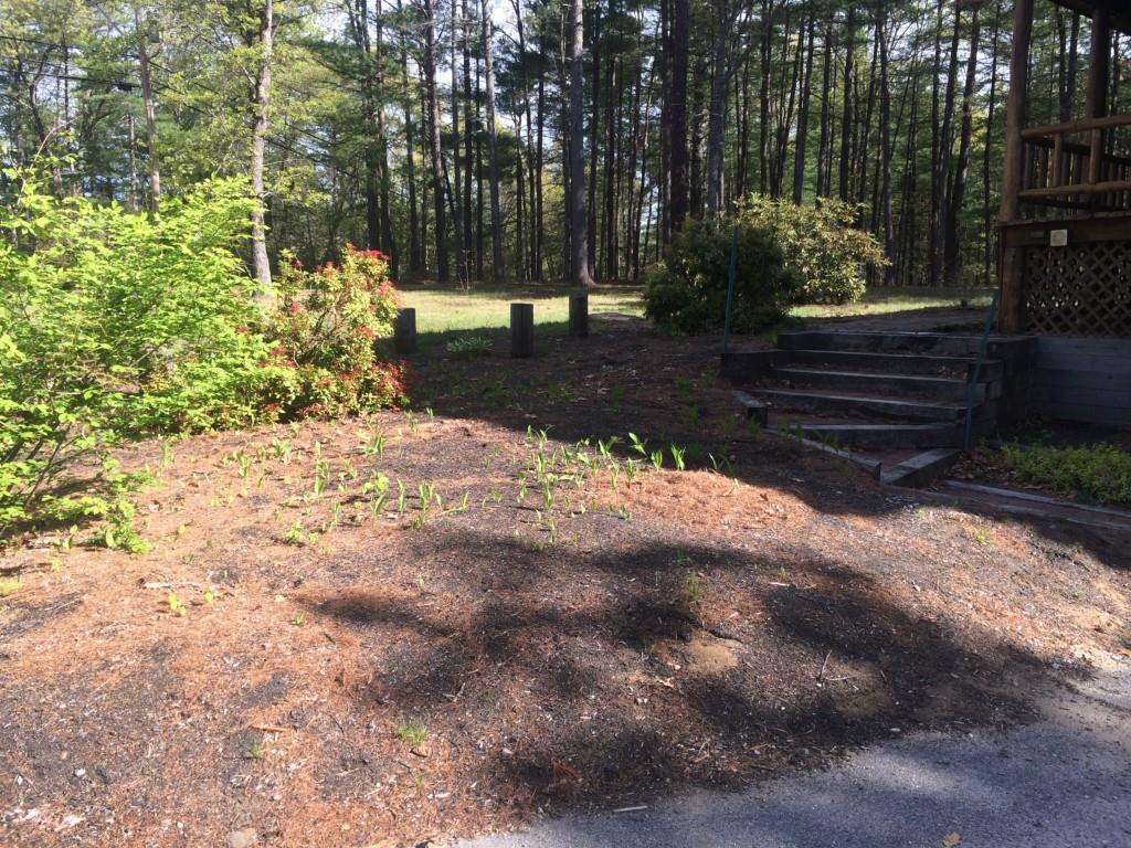 59 Horace Mills Road Wells, ME 04090 - Photo 7 of 31 Photo