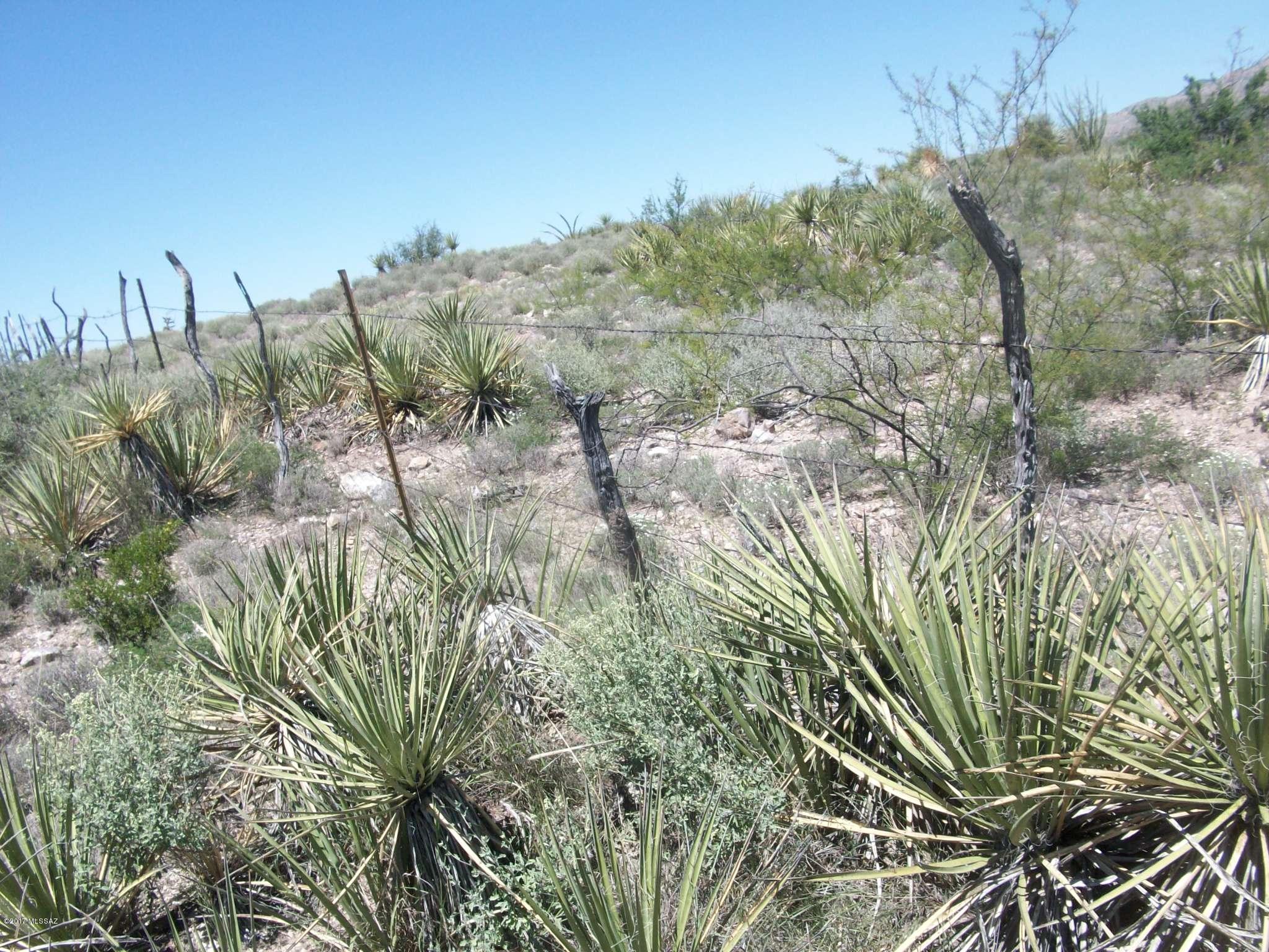 0 West Salcido Ranch Road Benson, AZ 85602 - Photo 6 of 8 Gallery Image 6