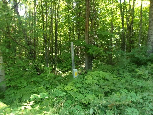 33-acres 33-acres Desperation Road Mercer, WI 54547 - Photo 2 of 17 Gallery Image 2