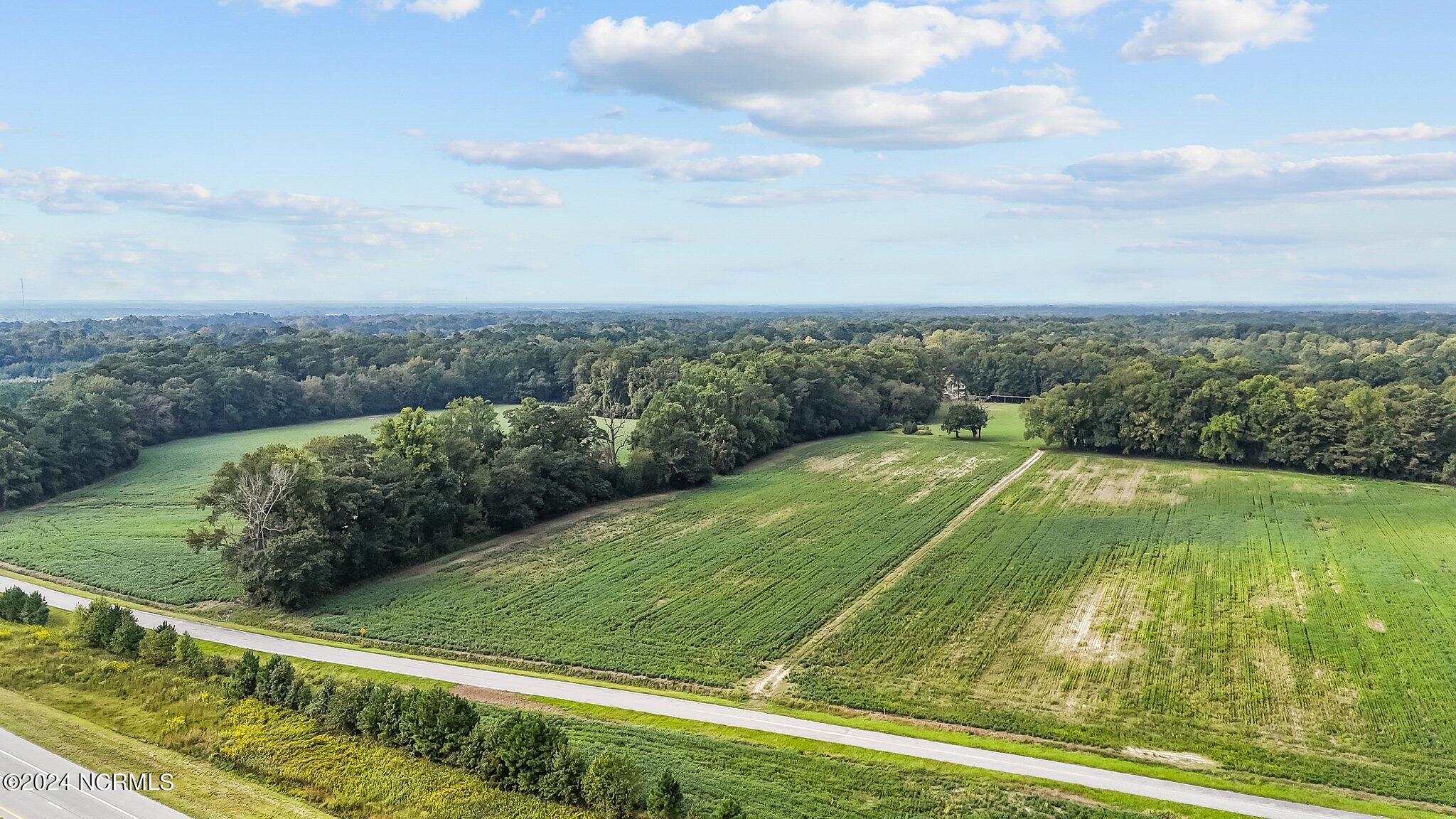 O Gray Grant Road Kinston, NC 28504 - Photo 2 of 11 2-web-or-mls-DJI_20240930103801_0080_D