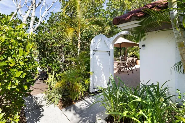 a view of a backyard with plants