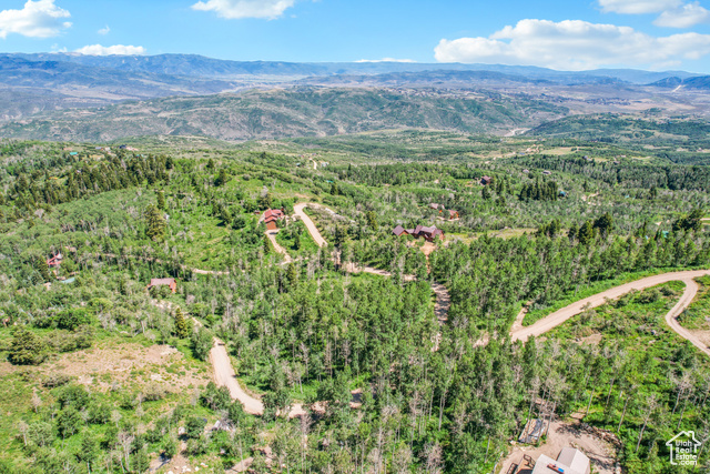 2481 Forest Meadow Road, Unit D91 Coalville, UT 84017 - Photo 8 of 13