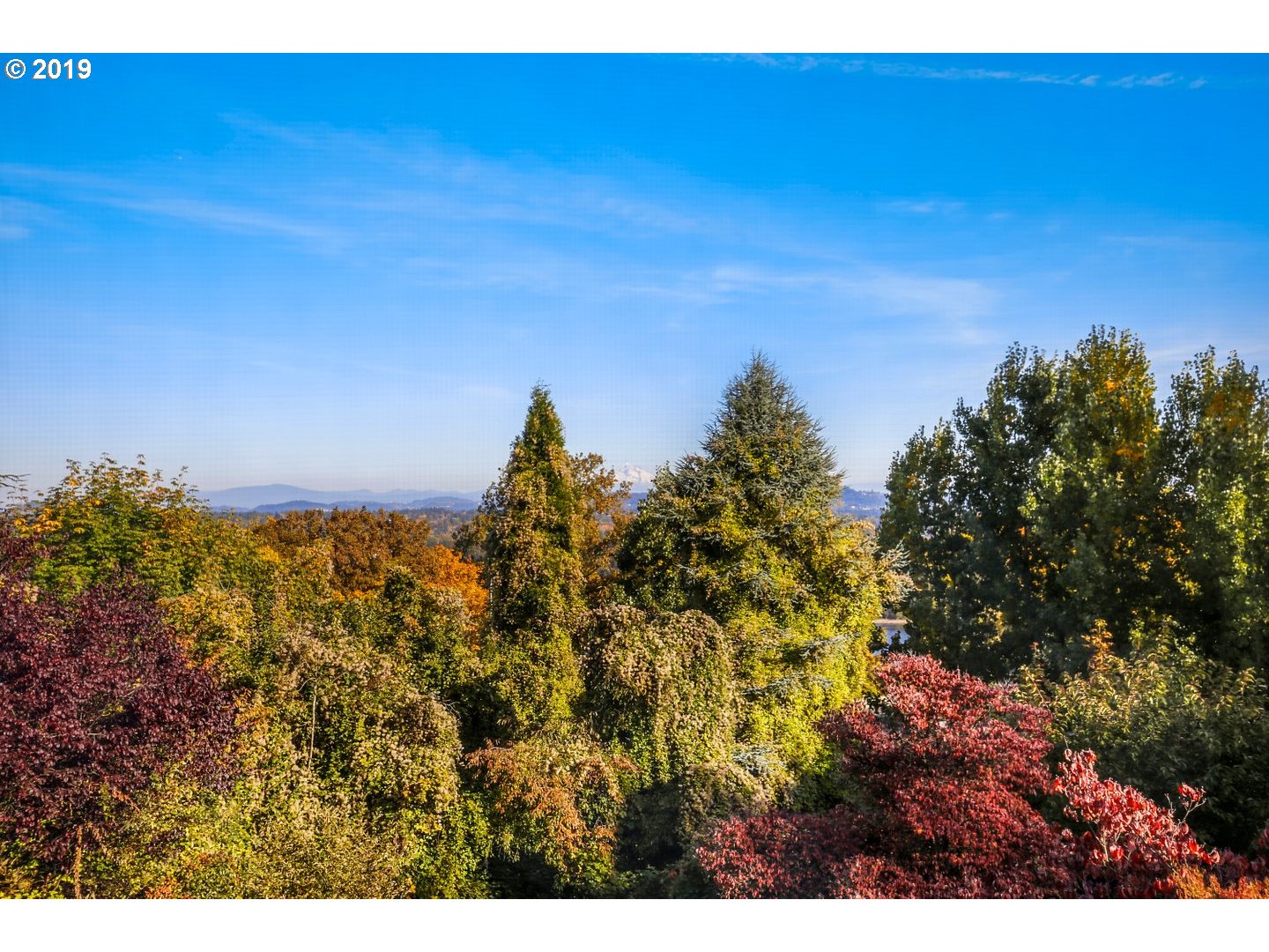 7010 Southwest Brier Place Portland, OR 97219 - Photo 32 of 32 Gallery Image 32