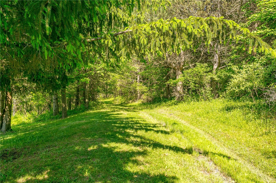 7685 Gregg Road Bristol, NY 14469 - Photo 45 of 50