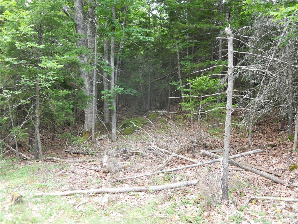 20-36 West Bay Road Islesboro, ME 04848 - Photo 6 of 9 Road front access