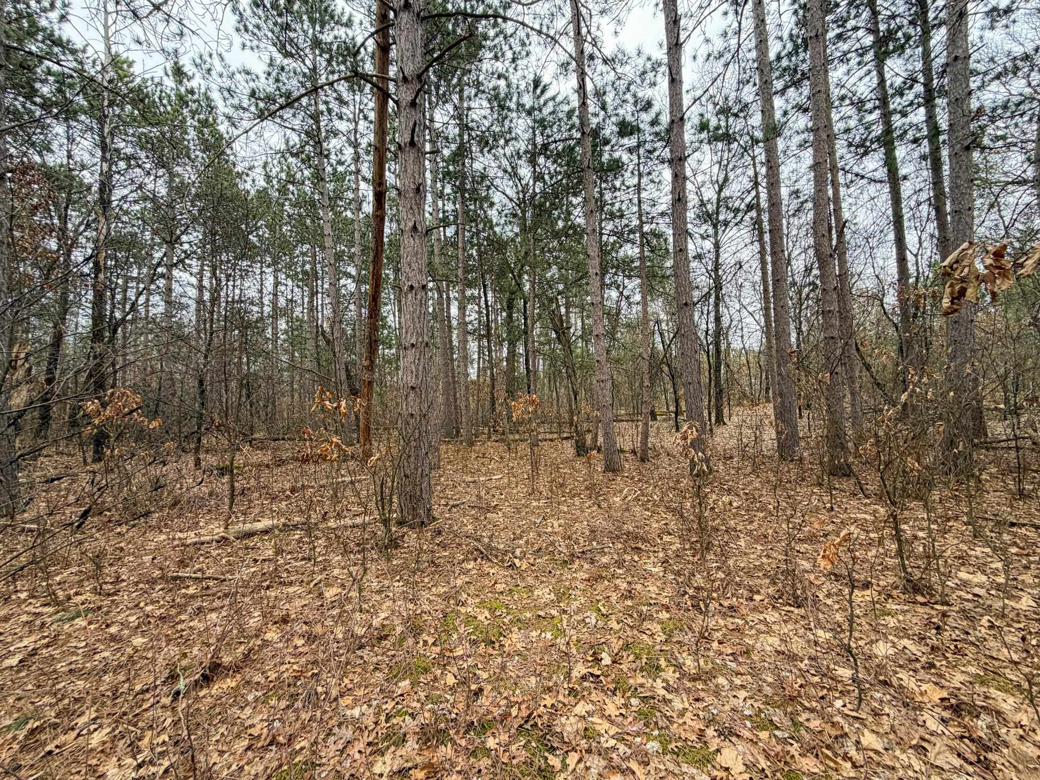 0 West Robin Court Necedah, WI 54646 - Photo 10 of 27