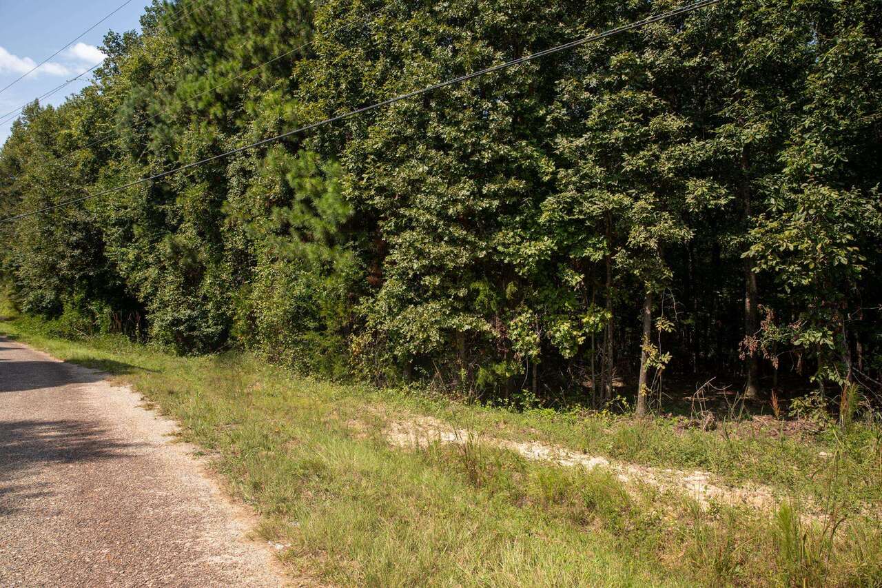 0 Harkness Road, Unit LOT 1 Jackson, GA 30233 - Photo 1 of 1 a view of a yard with plants