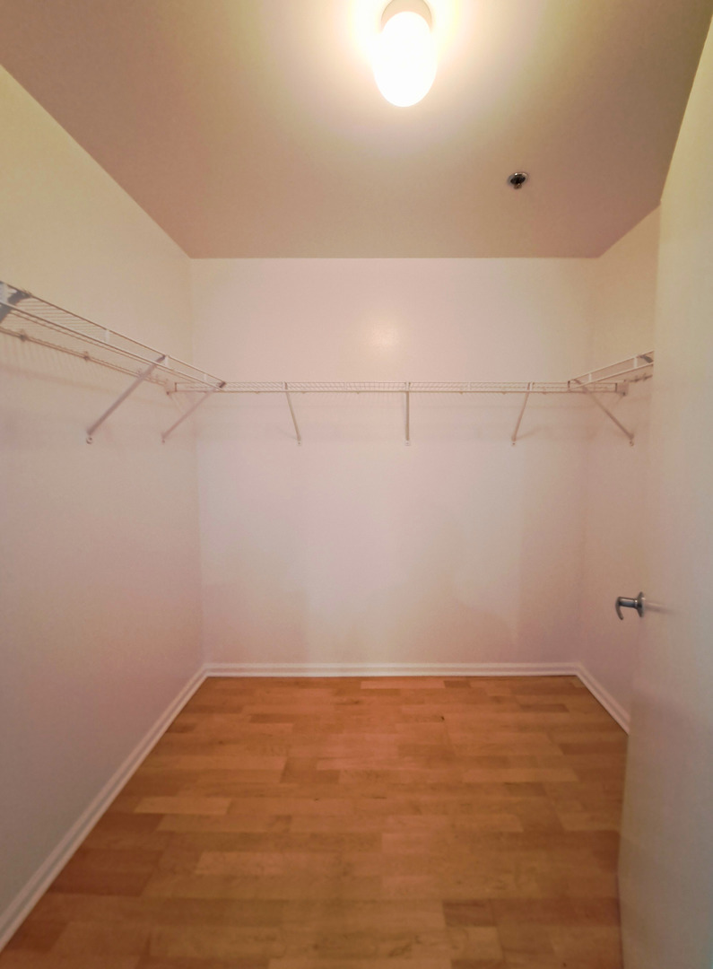 1255 South State Street, Unit 1201 Chicago, IL 60605 - Photo 14 of 30