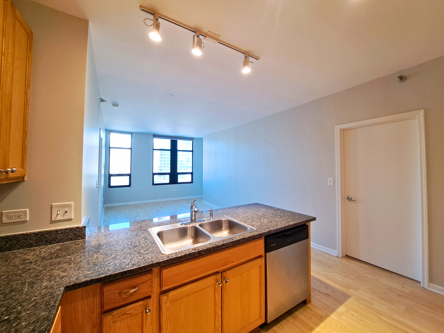 1255 South State Street, Unit 1201 Chicago, IL 60605 - Photo 9 of 30