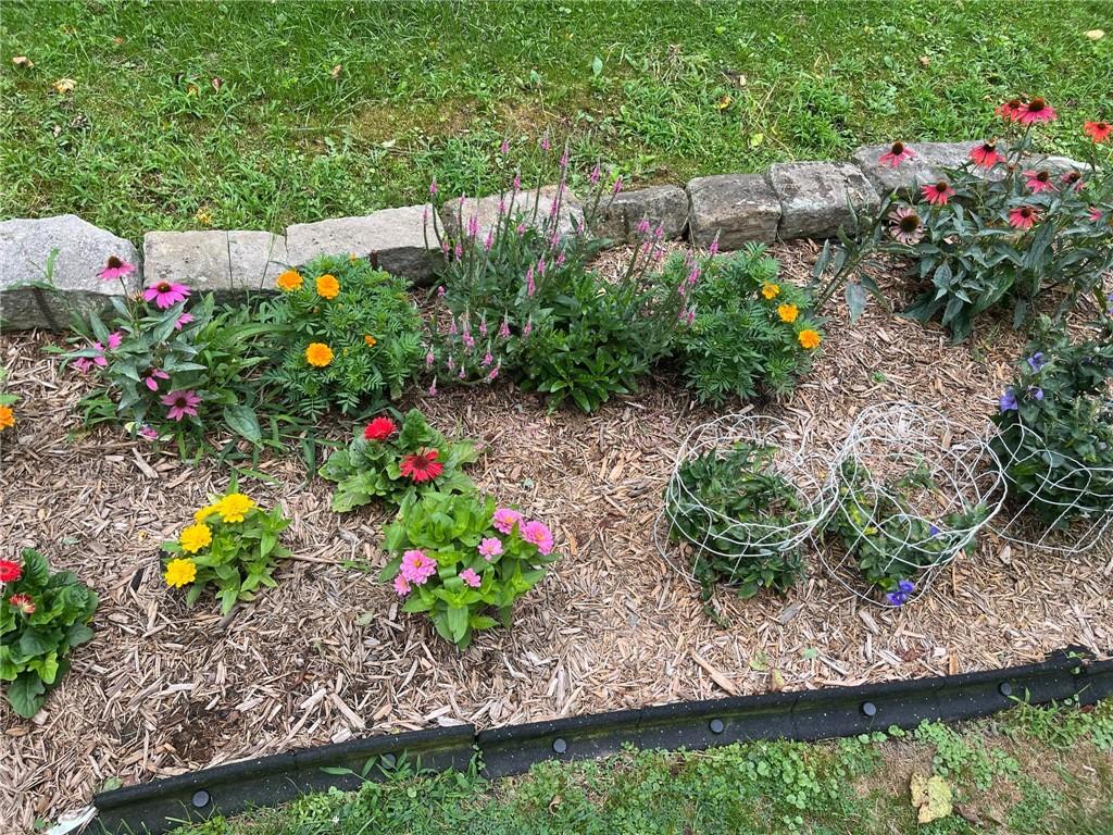 340 Mine Hill Road Adah, PA 15410 - Photo 18 of 23 a view of a backyard with plants