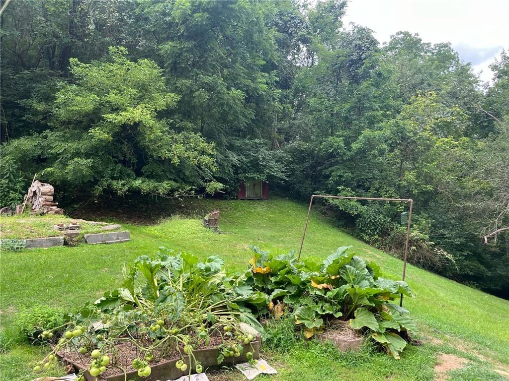 340 Mine Hill Road Adah, PA 15410 - Photo 20 of 23 a view of a garden with a bench