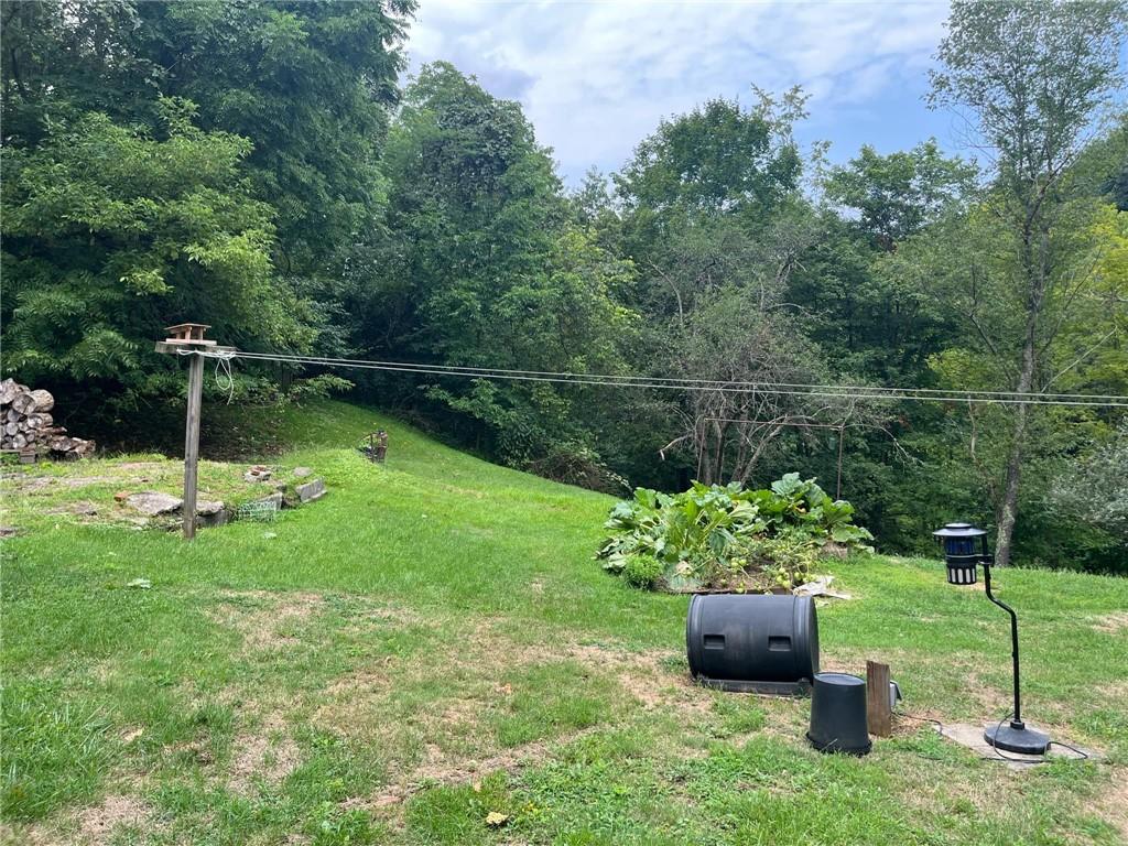340 Mine Hill Road Adah, PA 15410 - Photo 21 of 23 a backyard of a house with lots of green space