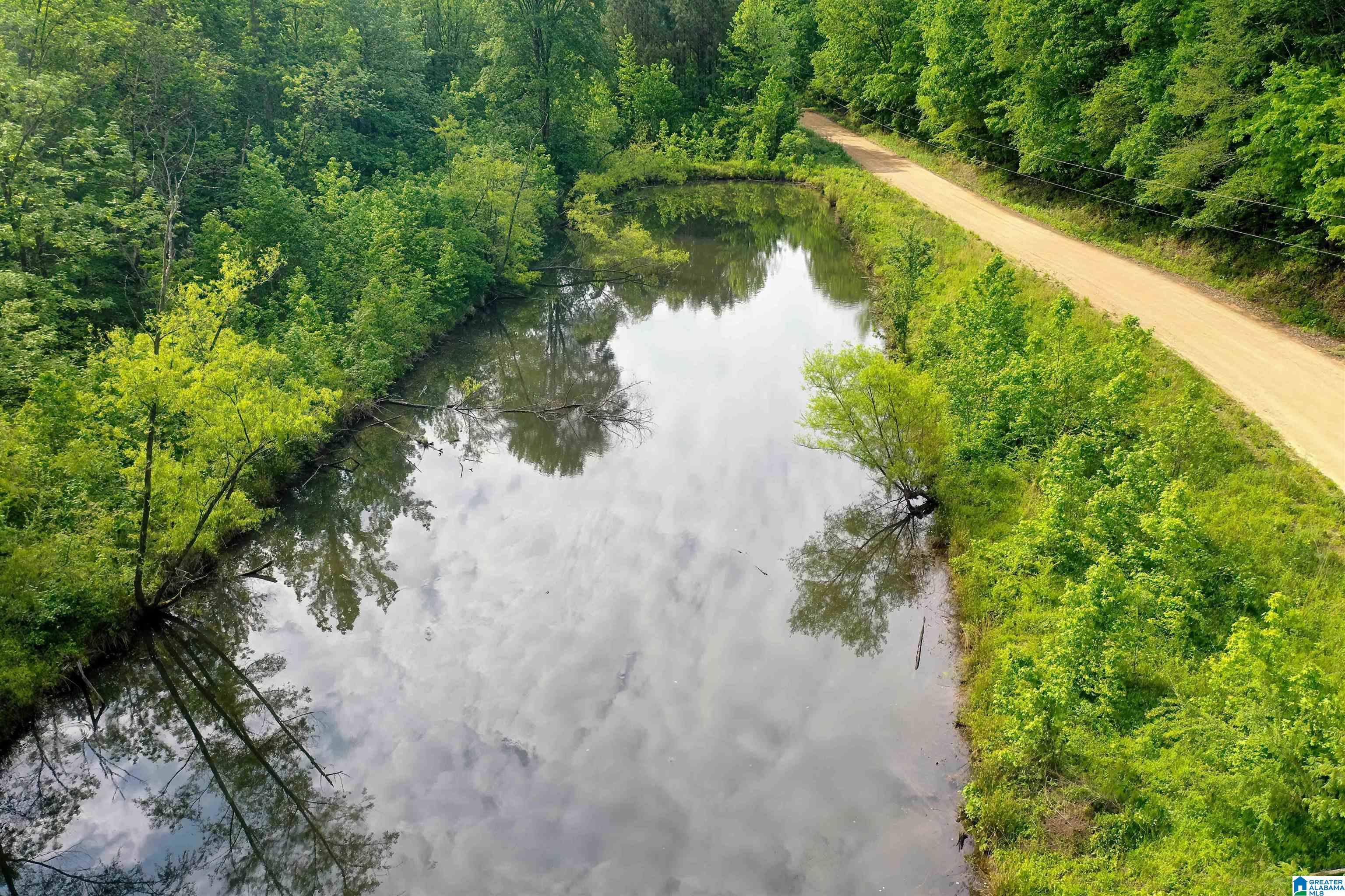 0 Wolf Creek Road Carbon Hill, AL 35549 - Photo 16 of 29