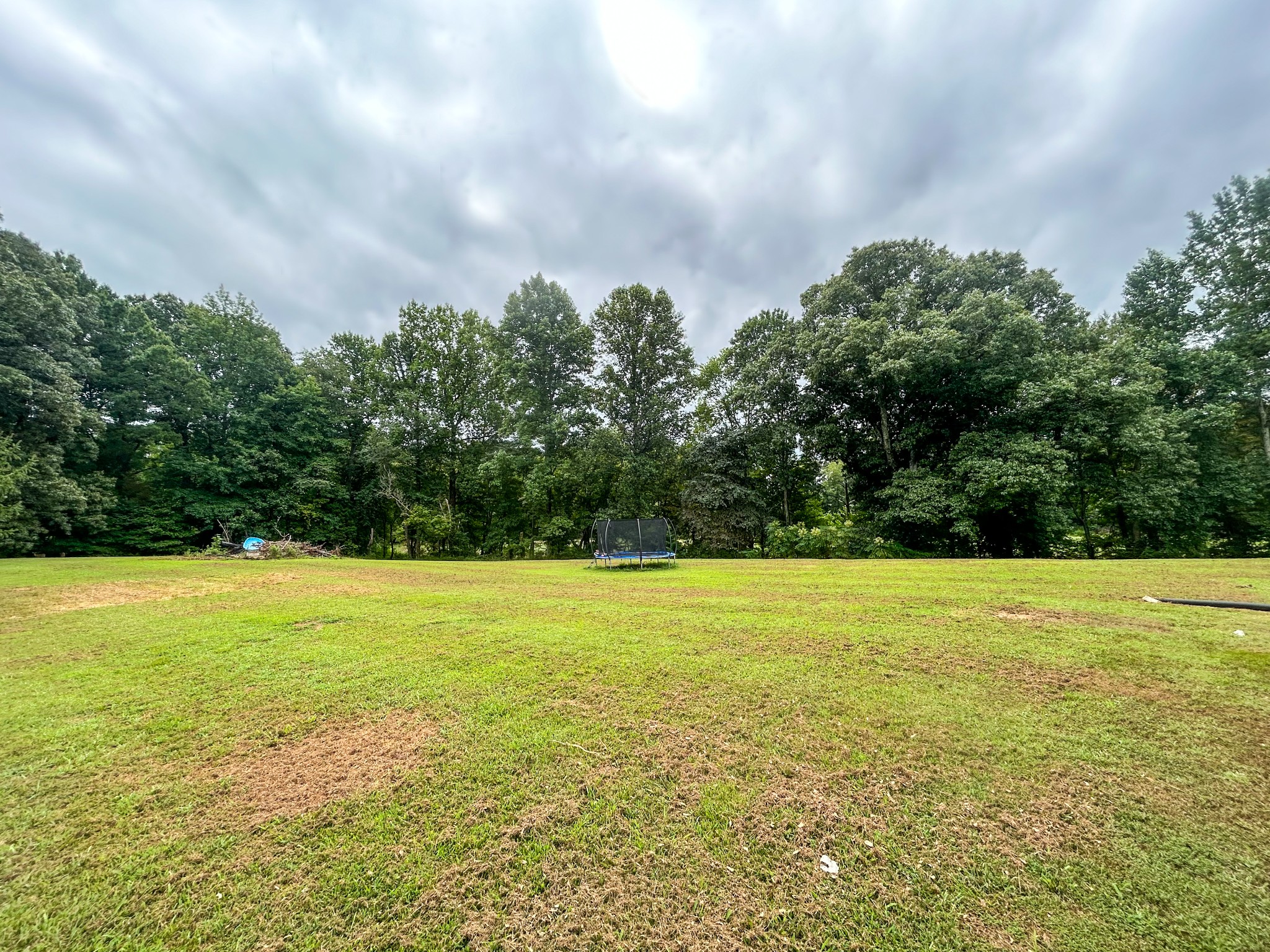 5785 Henry Mansfield Road Henry, TN 38231 - Photo 23 of 49 Gallery Image 23