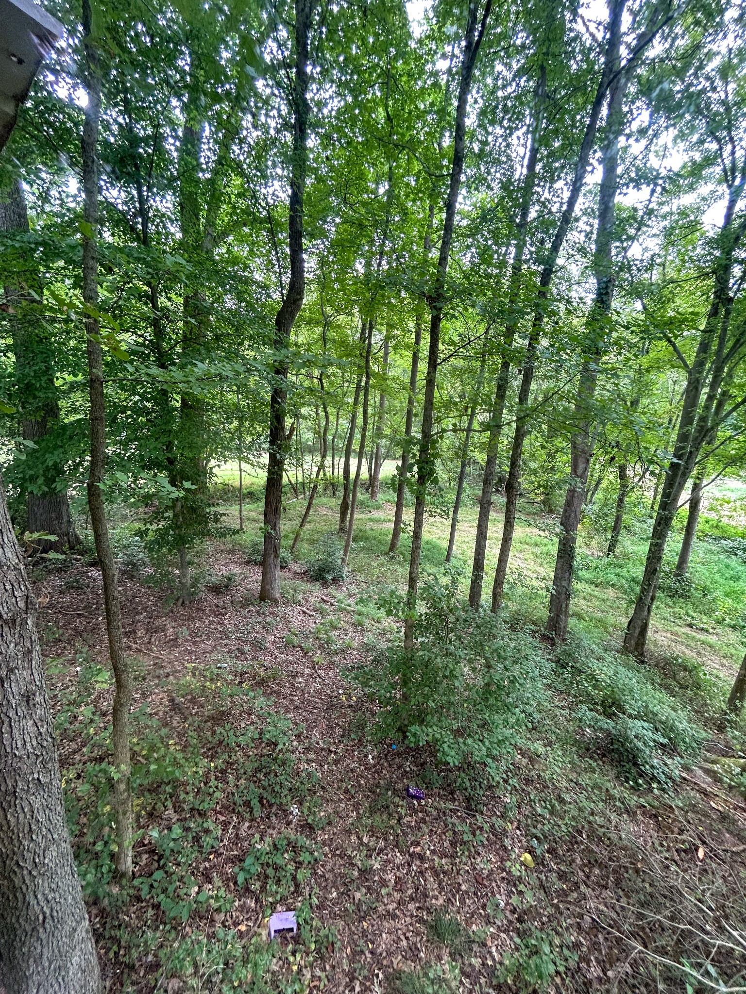 5785 Henry Mansfield Road Henry, TN 38231 - Photo 27 of 49 Gallery Image 27