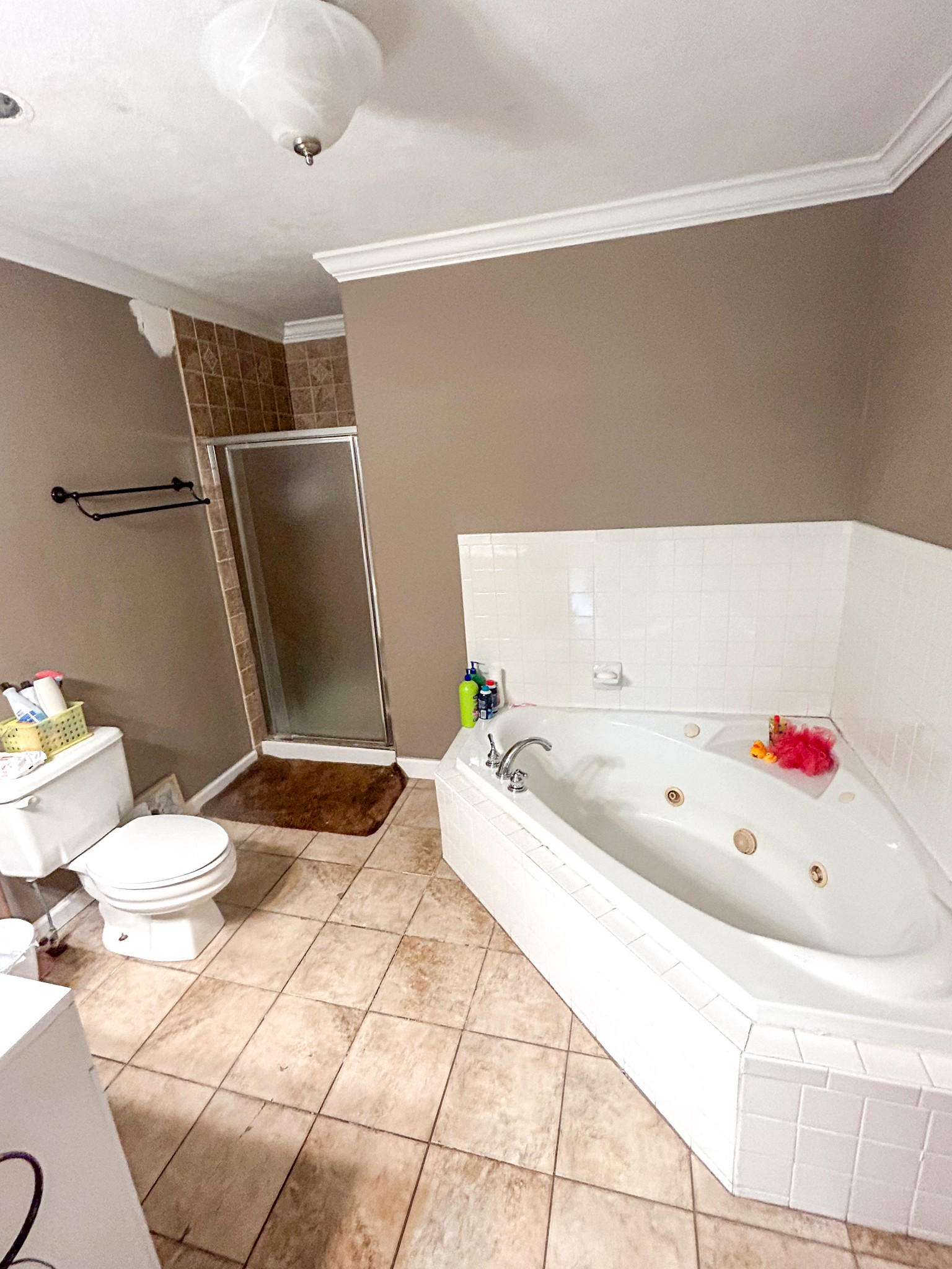 5785 Henry Mansfield Road Henry, TN 38231 - Photo 48 of 49 Gallery Image 48