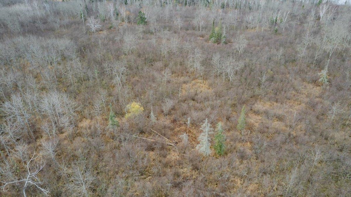 8303 Camp Amnicon Road South Range, WI 54874 - Photo 3 of 9