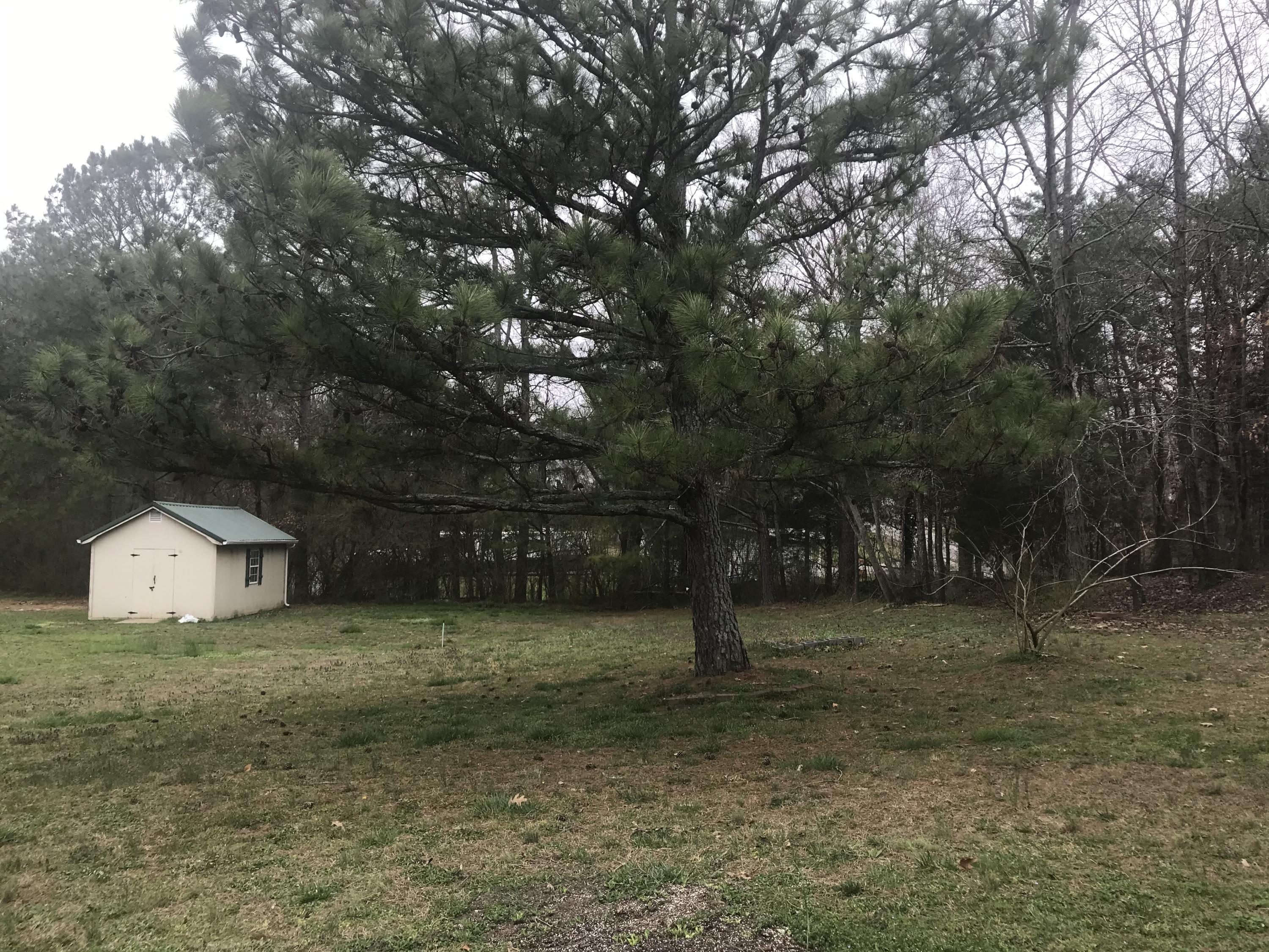 380 White Road Old Fort, TN 37362 - Photo 23 of 27 IMG_0736