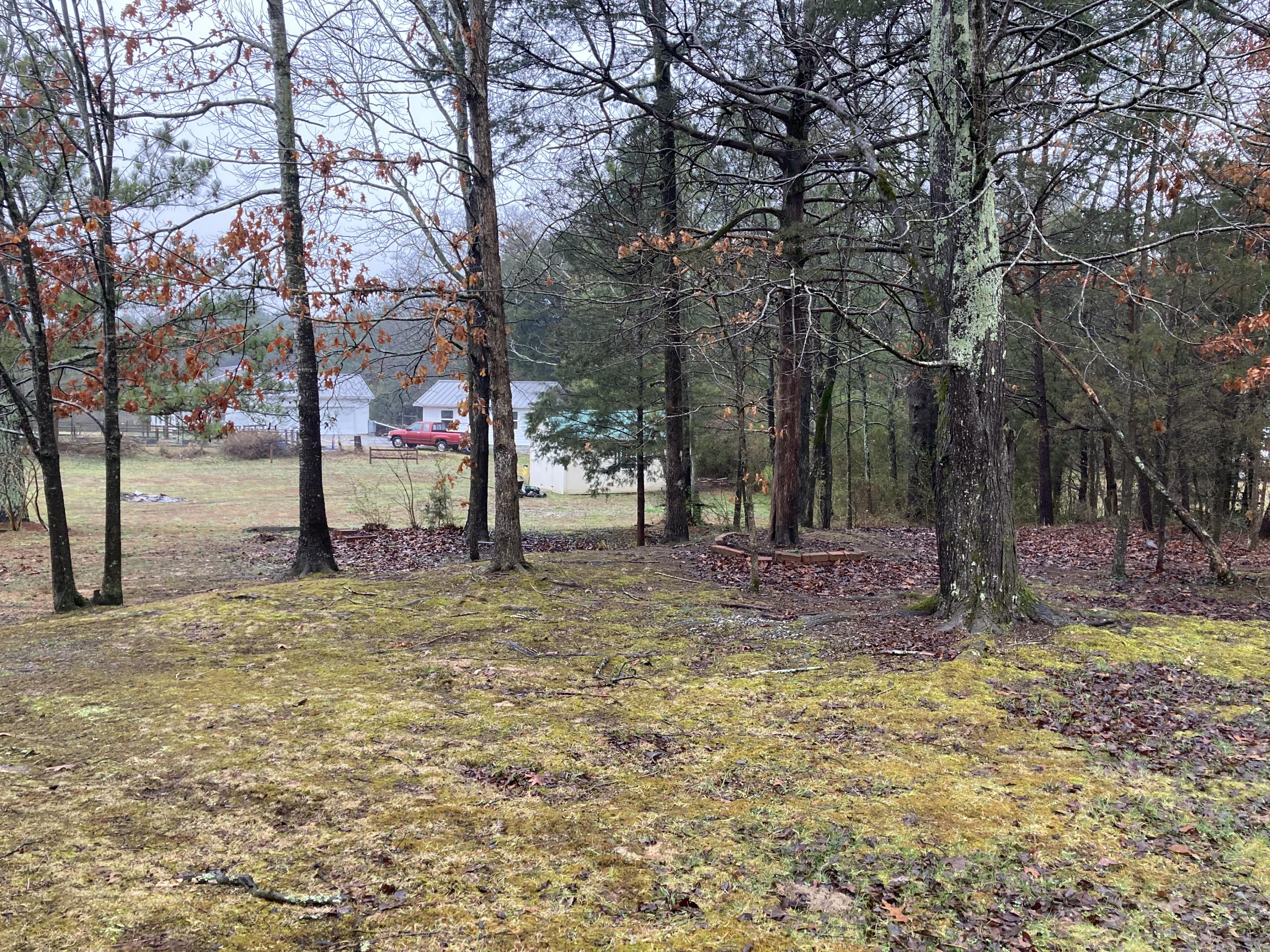 380 White Road Old Fort, TN 37362 - Photo 25 of 27 IMG_2446