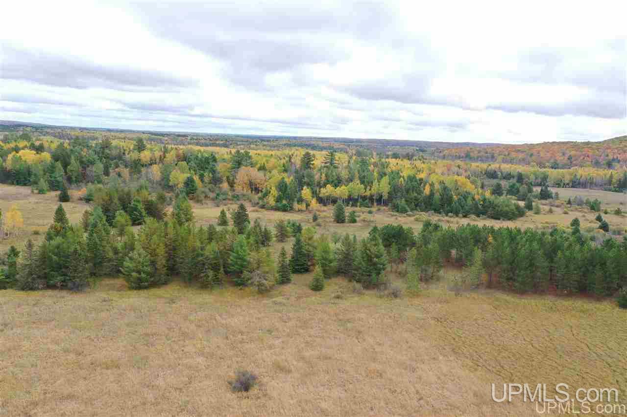 Tbd South County Line Road Watersmeet, MI 49969 - Photo 4 of 16