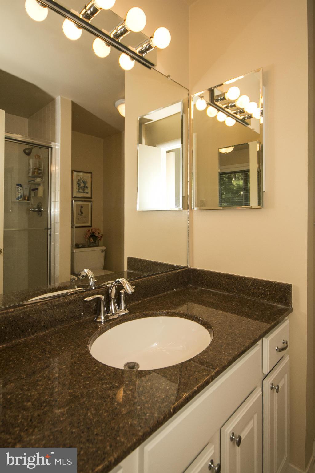 2208 Sugarcone Road Baltimore, MD 21209 - Photo 14 of 23 a bathroom with a sink and a mirror
