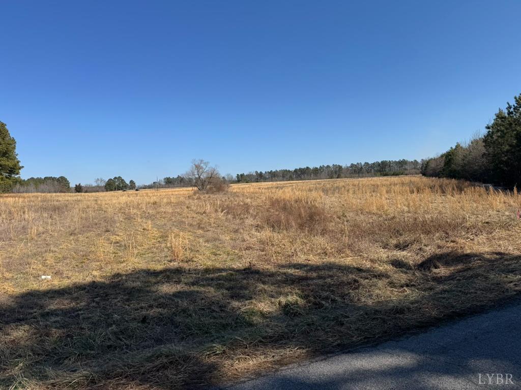 0 Sturgeon Road Dolphin, VA 23843 - Photo 2 of 9