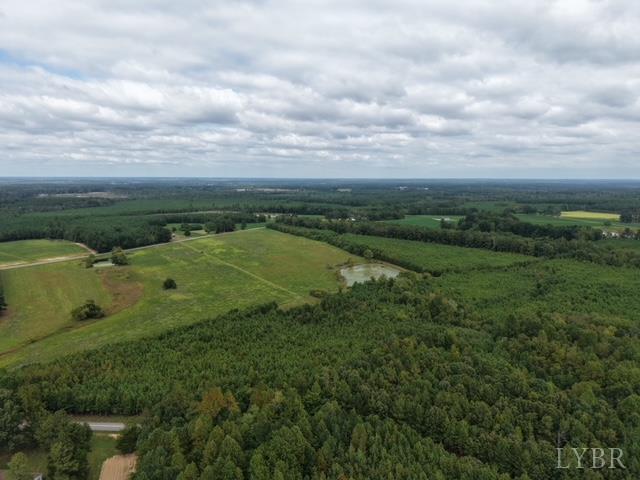 0 Sturgeon Road Dolphin, VA 23843 - Photo 4 of 6 a view of a lake with a yard