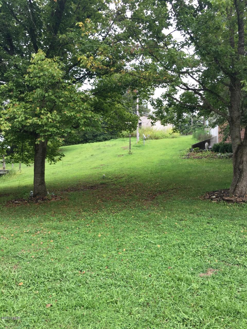 2530 Dogwalk Road Anna, IL 62906 - Photo 4 of 23