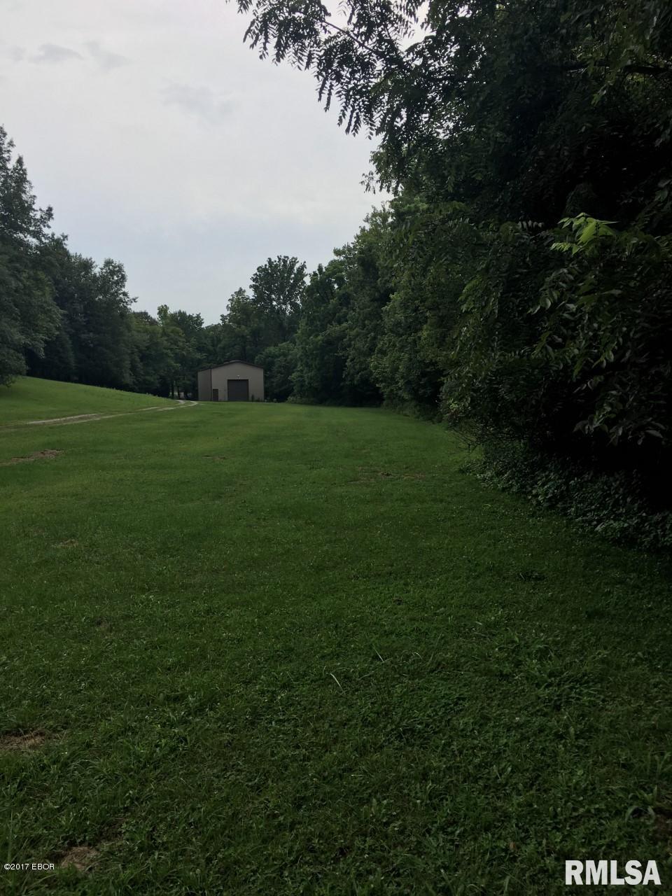 2530 Dogwalk Road Anna, IL 62906 - Photo 5 of 23
