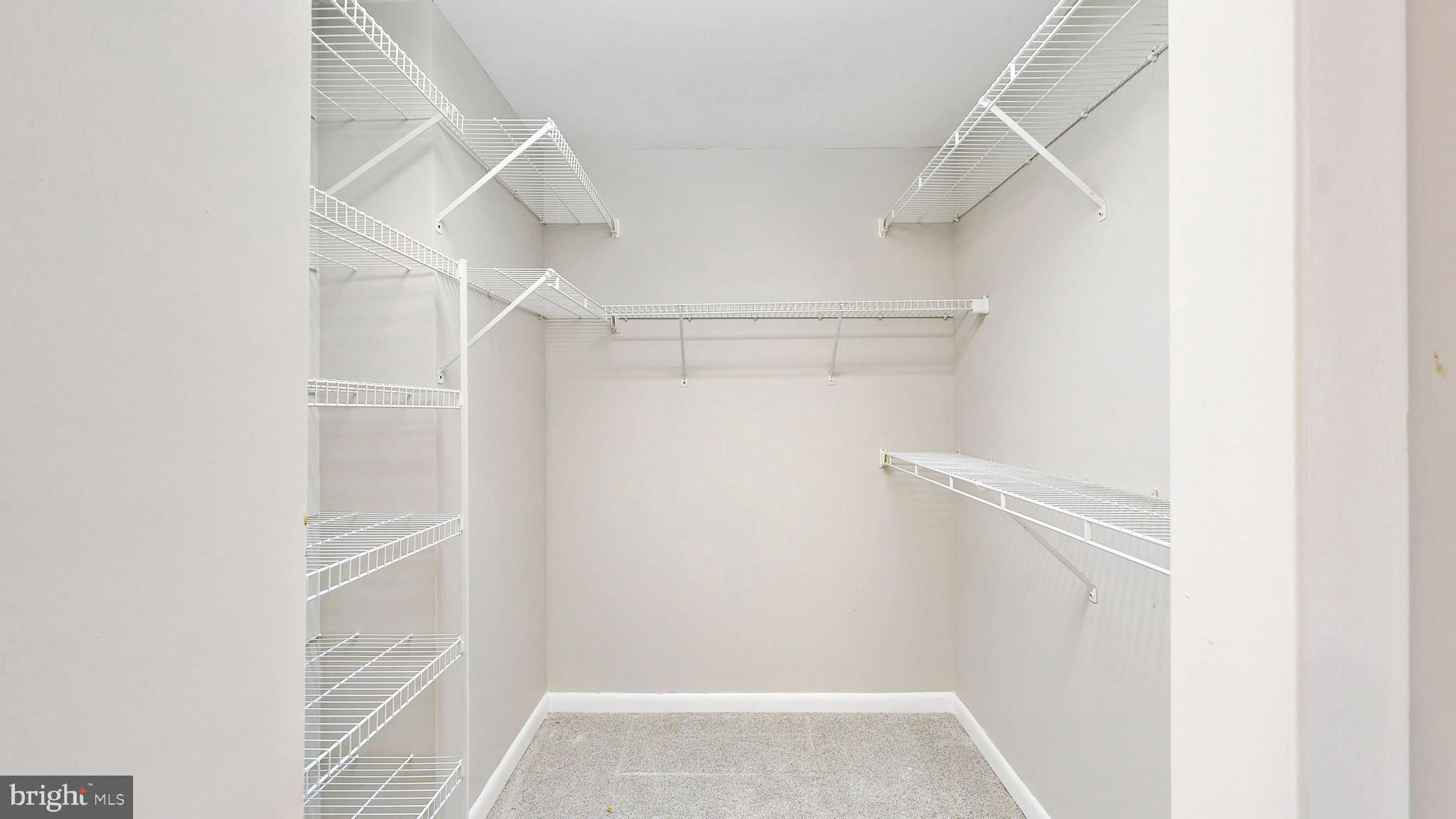 18540 Drayton Hall Road, Unit 2 Lewes, DE 19958 - Photo 21 of 38 a view of walk in closet with empty racks