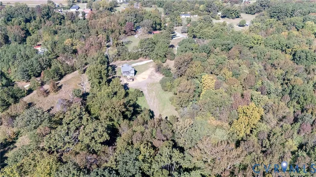 a view of a forest with a tree