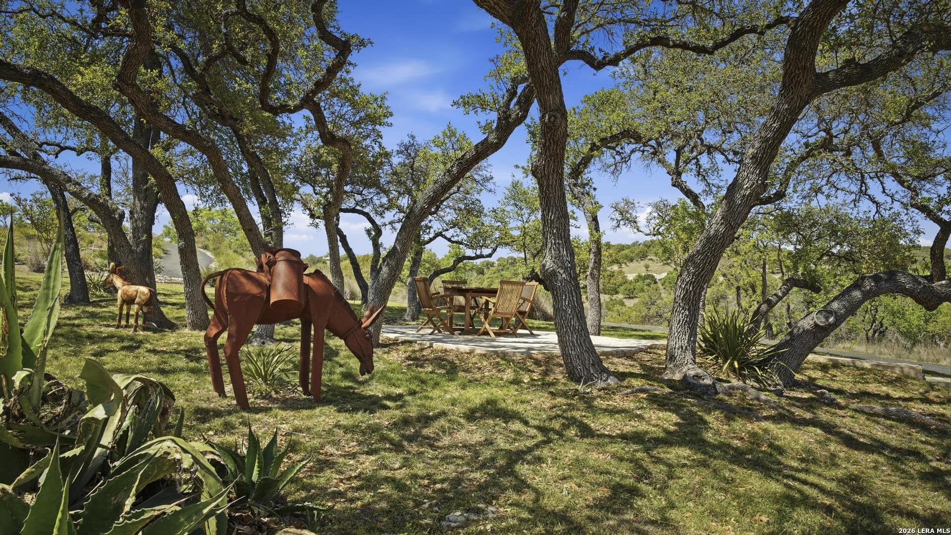 145 Valley Home Road North Comfort, TX 78013 - Photo 3 of 29