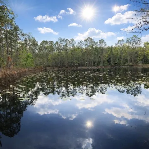 a view of a yard with a lake view