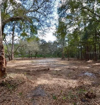a view of outdoor space with trees