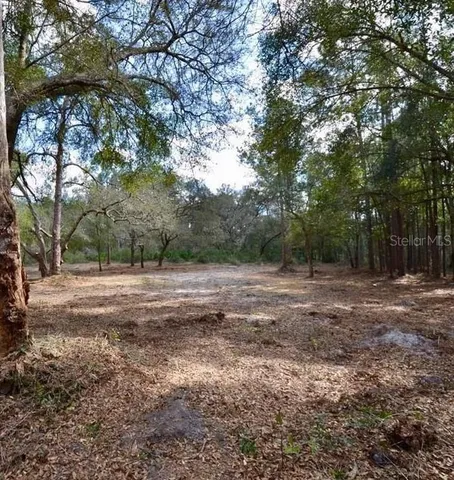 a view of outdoor space with trees