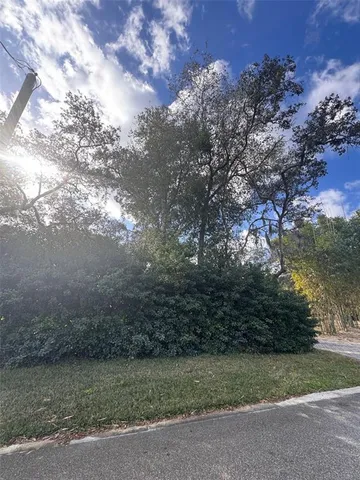 a view of a yard with a tree