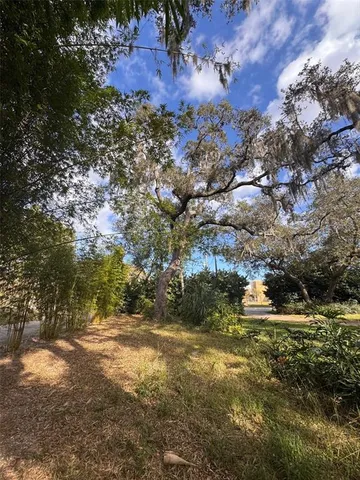 a view of a yard with plants and large trees