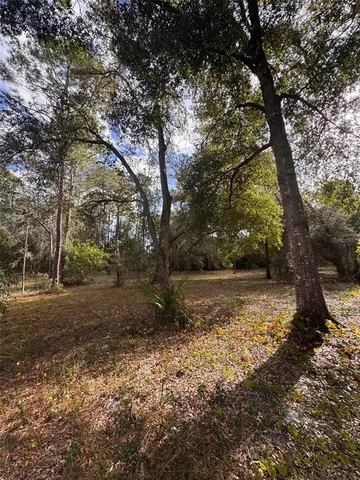 a view of backyard with green space