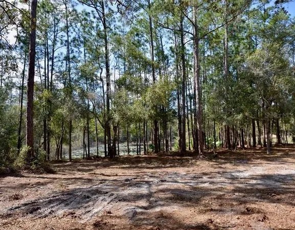 a view of outdoor space with trees