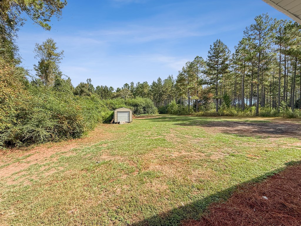 1289 Bruner Pond Road Ashford, AL 36312 - Photo 22 of 65