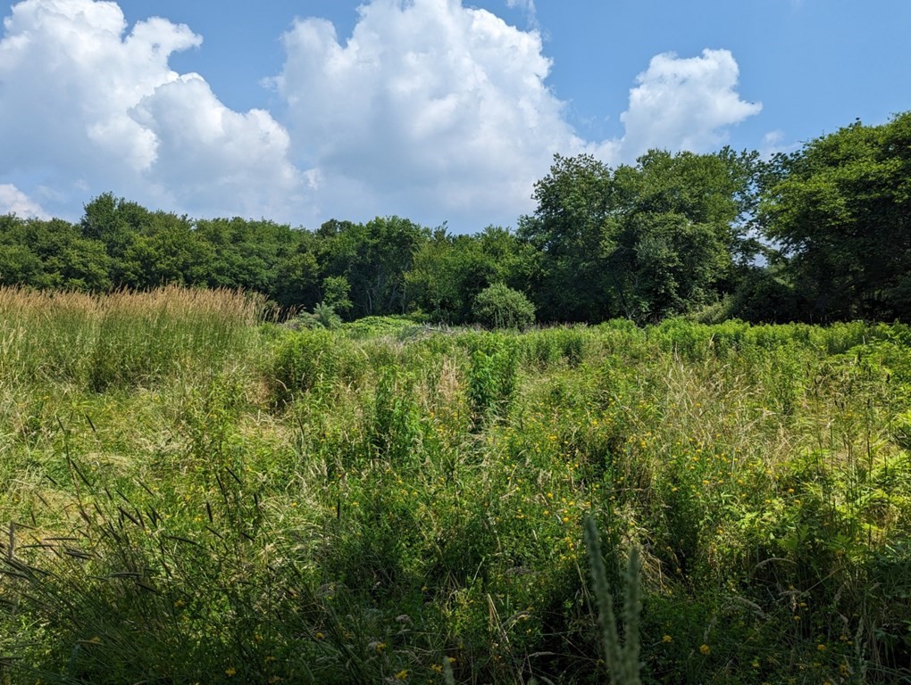 228 E Road Tiverton, RI 02878 - Photo 27 of 27 a view of a lake and green space
