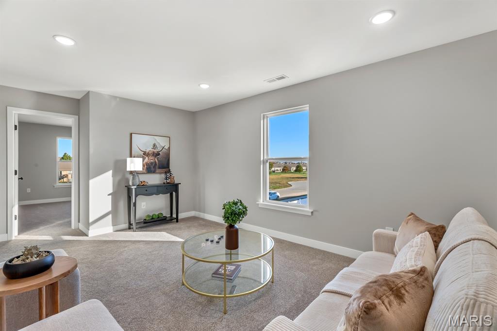 421 George Bush Boulevard Troy, IL 62294 - Photo 36 of 47