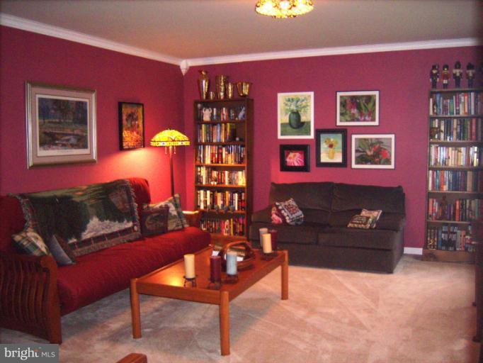 5284 Courtneys Corner Road Sumerduck, VA 22742 - Photo 16 of 26 Living Room