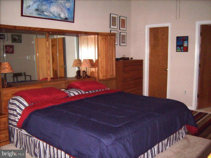 5284 Courtneys Corner Road Sumerduck, VA 22742 - Photo 18 of 26 Bedroom (Master)