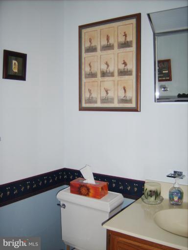 5284 Courtneys Corner Road Sumerduck, VA 22742 - Photo 22 of 26 Hall half bath