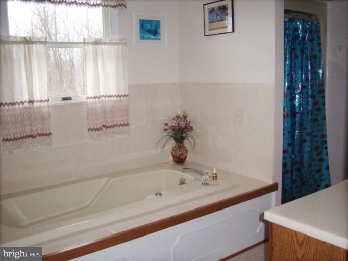 5284 Courtneys Corner Road Sumerduck, VA 22742 - Photo 23 of 26 Bath (Master)