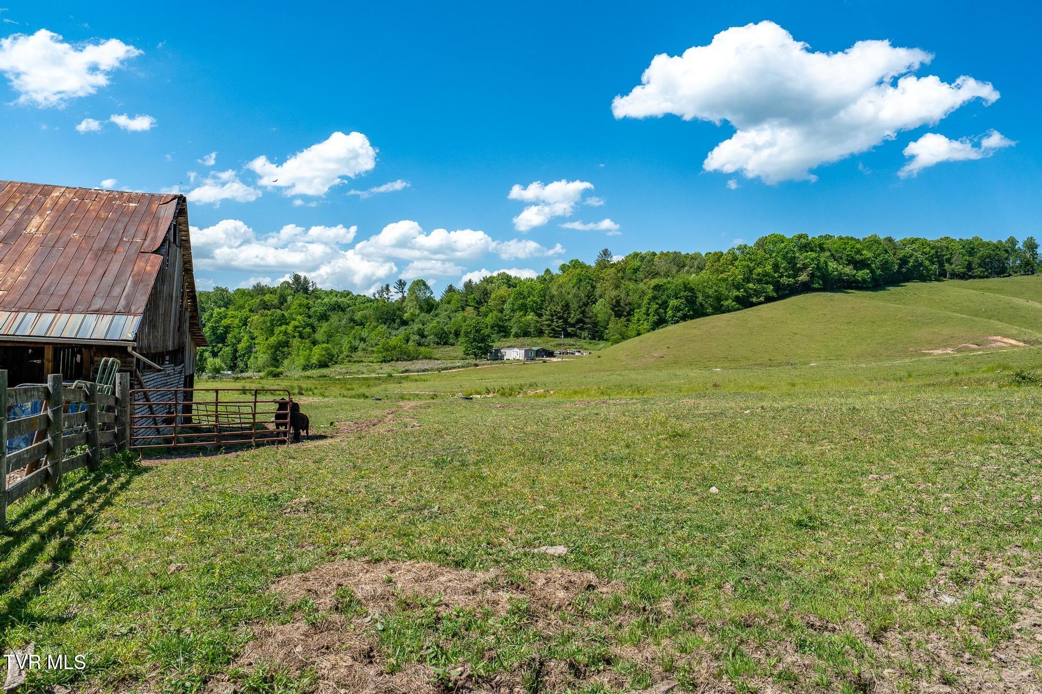 517 Mill Creek Road Mountain City, TN 37683 - Photo 45 of 52 517 Mill Creek Road (48 of 52)