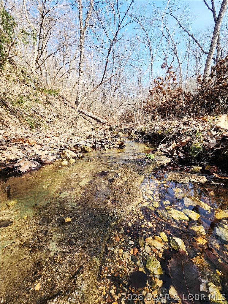 Lot 4 State J Road Roach, MO 65787 - Photo 28 of 32
