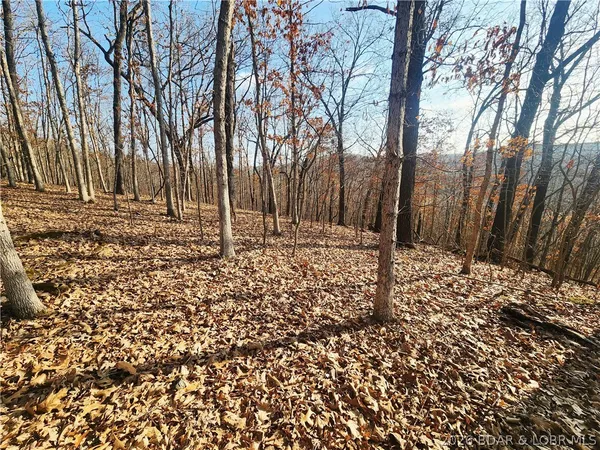 $49,275 | Lot 4 State J Road, Roach, MO 65787