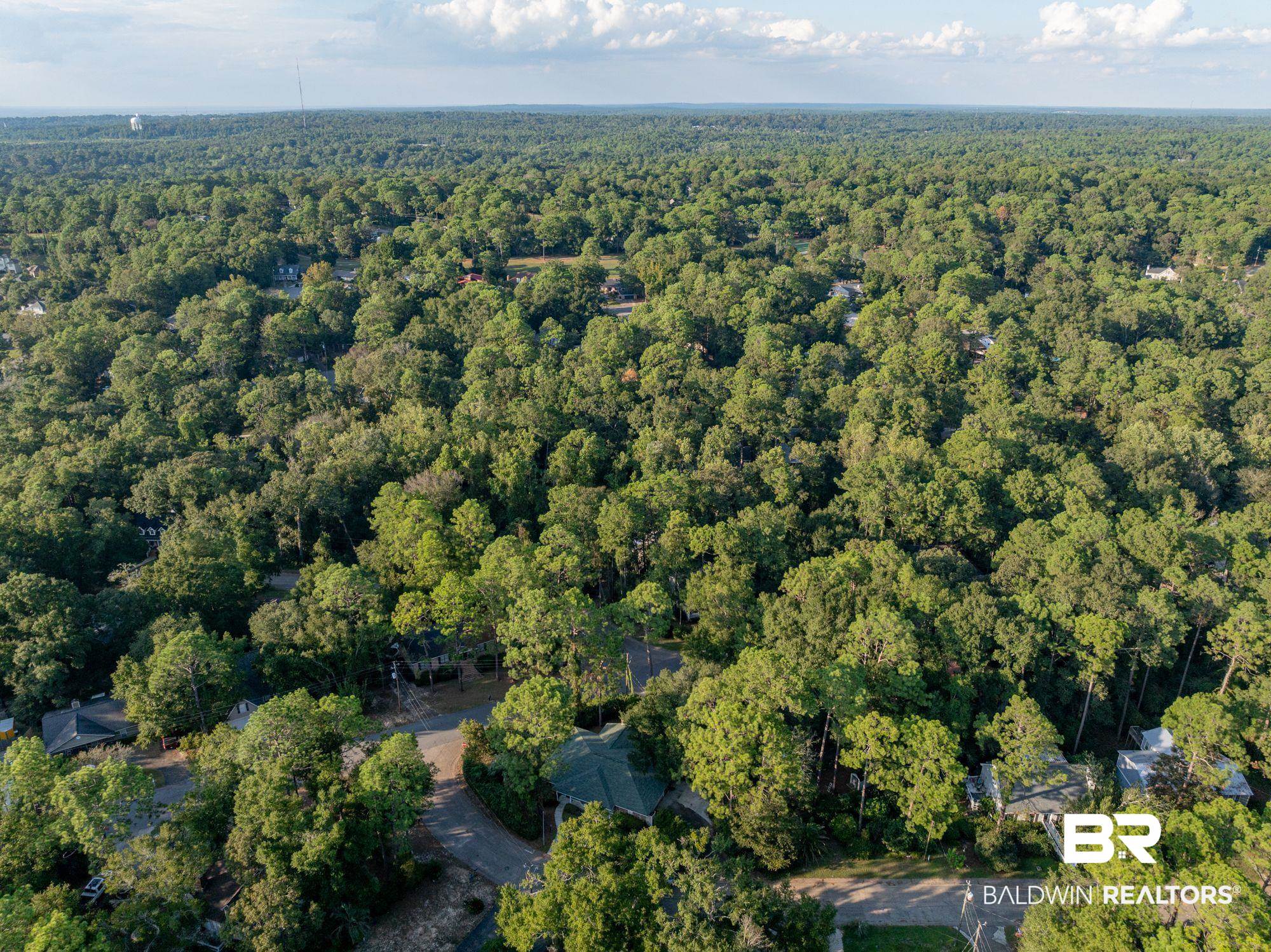 101 Cameron Circle Daphne, AL 36526 - Photo 33 of 39 Birds eye view of property